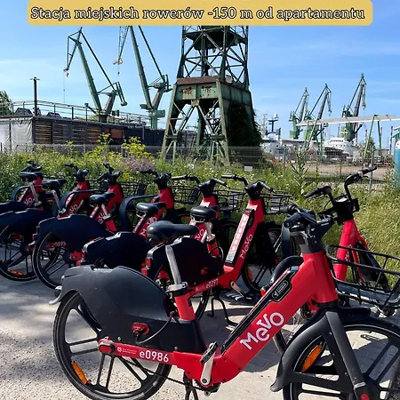 Lily żurawie Premium *